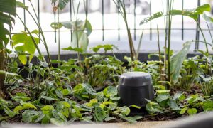 caixa de som para piscina